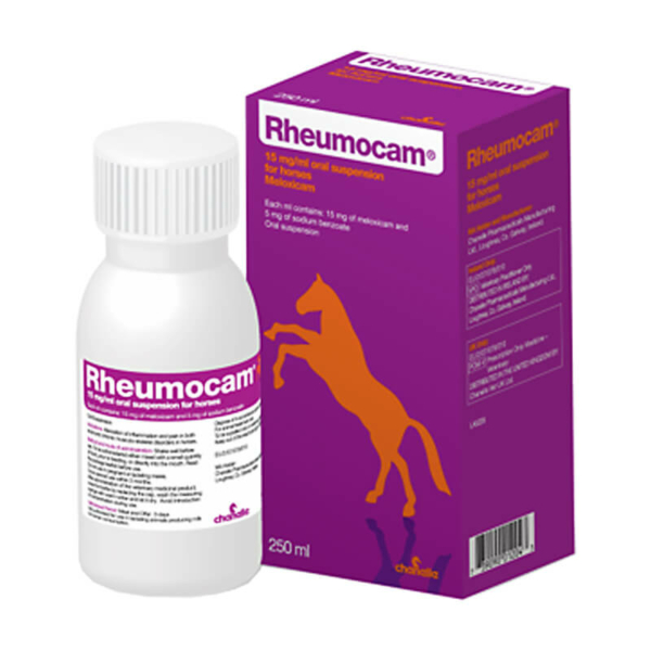 rheumocam oral horse