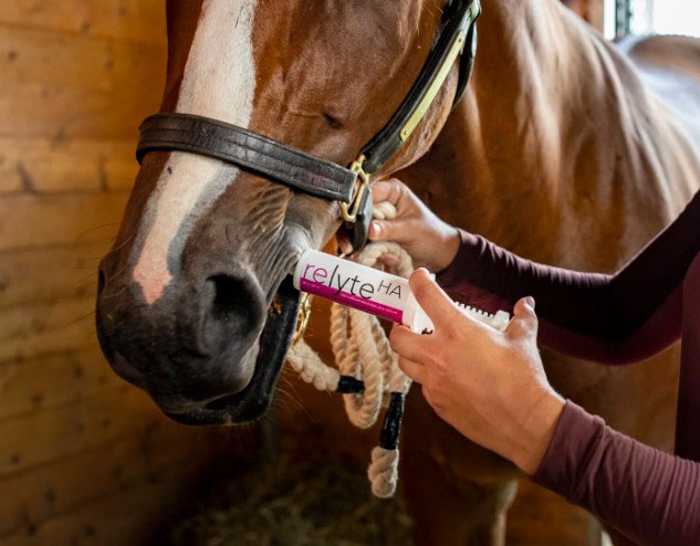 Relyte HA Electrolyte Gel